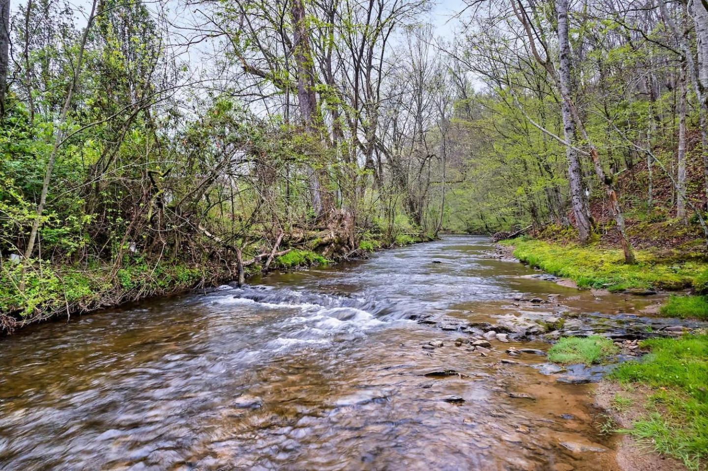 비둘기 포지 1 Mile To Pkwy, Pets, Hot Tub, Creekside, Porch 빌라 외부 사진
