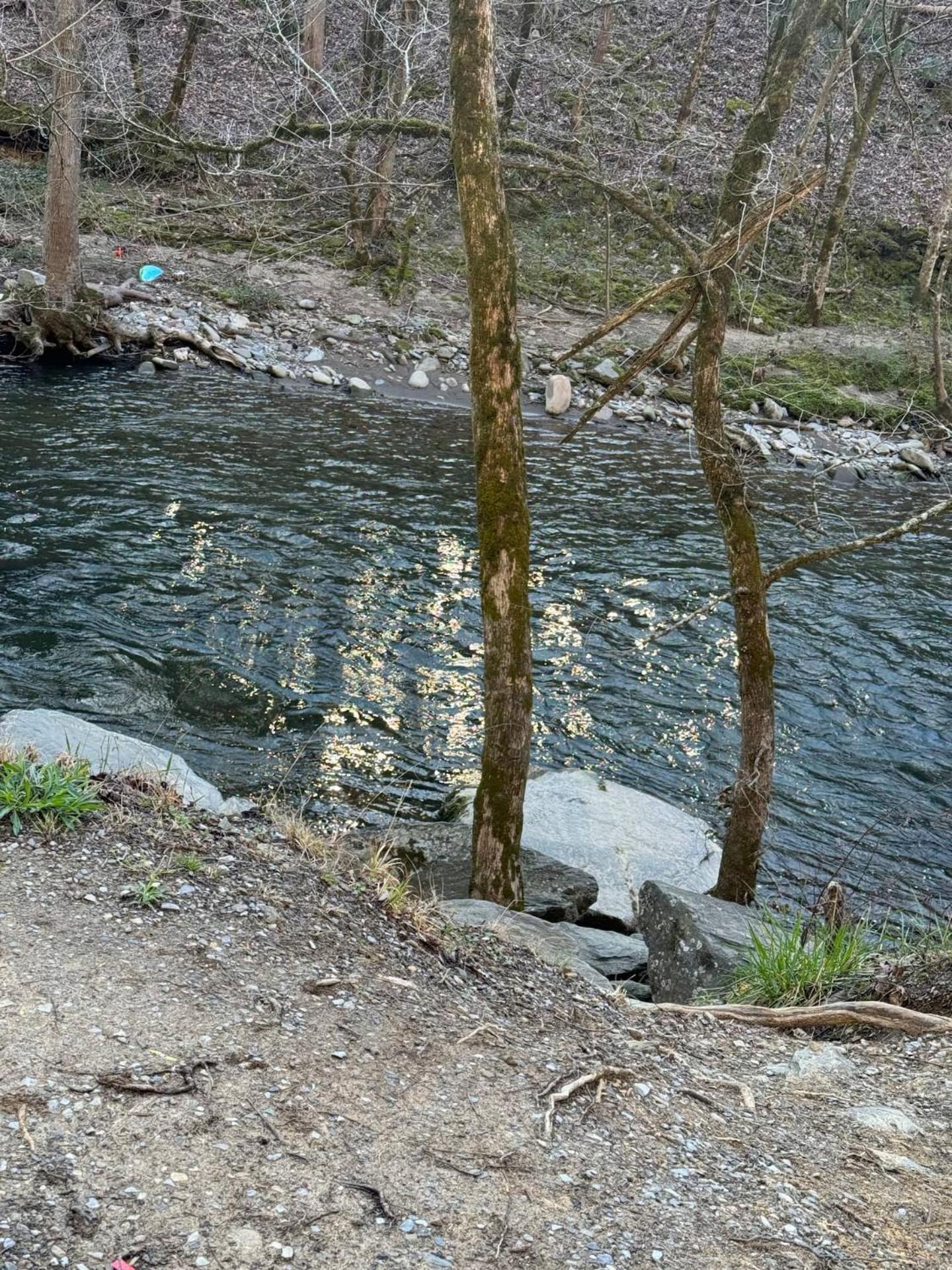 비둘기 포지 1 Mile To Pkwy, Pets, Hot Tub, Creekside, Porch 빌라 외부 사진